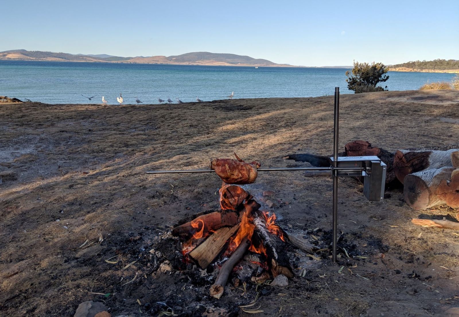image of the auspit Portable spit rotisserie package cooking a chicken oven an open fire overlooking the ocean with seagulls sitting in front